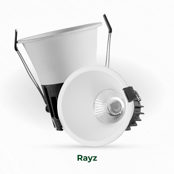 Rayz